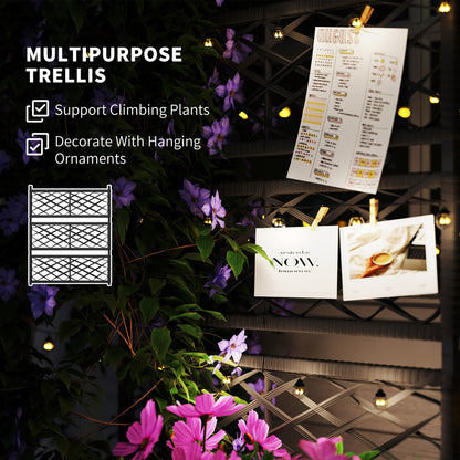 Wicker Planter with Trellis & Storage Shelf - Black