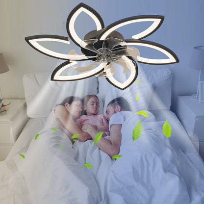 Acrylic Ceiling Fan
