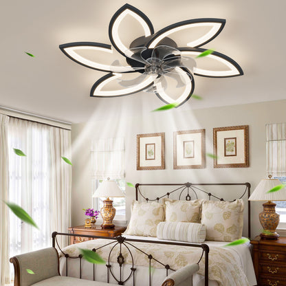 Acrylic Ceiling Fan