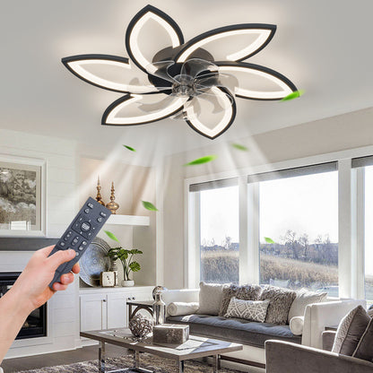 Acrylic Ceiling Fan